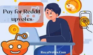 pay for reddit upvotes