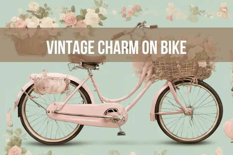 Vintage Charm on Bike